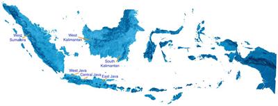 COVID-19 infection prevention and control for hospital workers in Indonesia